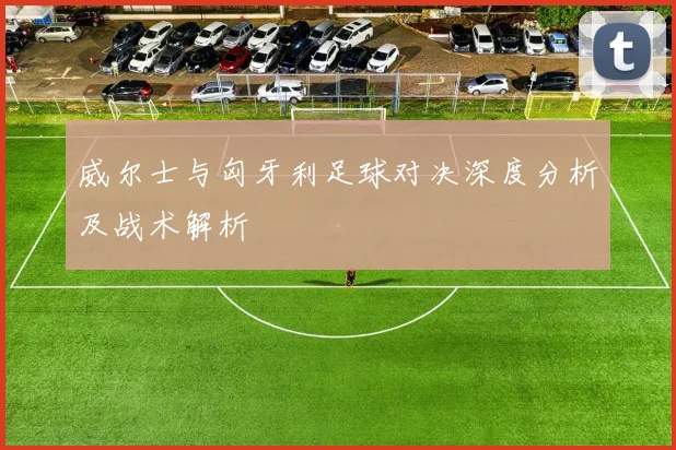 威尔士与匈牙利足球对决深度分析及战术解析