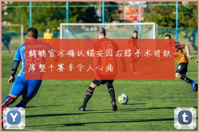 鹈鹕官方确认锡安因右膝手术将缺席整个赛季令人心痛