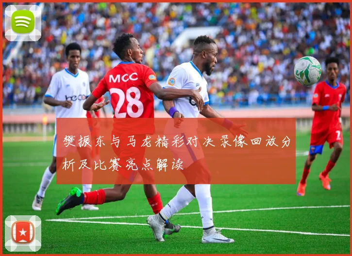 樊振东与马龙精彩对决录像回放分析及比赛亮点解读